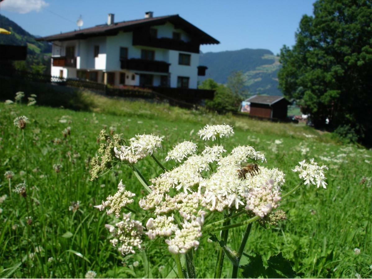 Appartement Hollaus Fügen Esterno foto